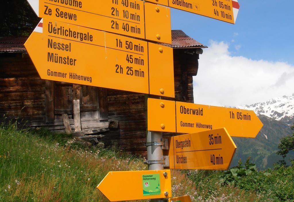 Hotel Grimsel Obergesteln Екстериор снимка