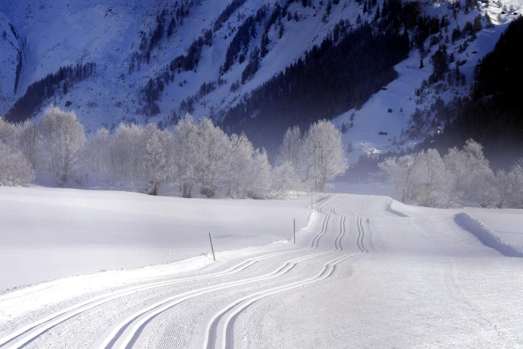 Hotel Grimsel Obergesteln Екстериор снимка